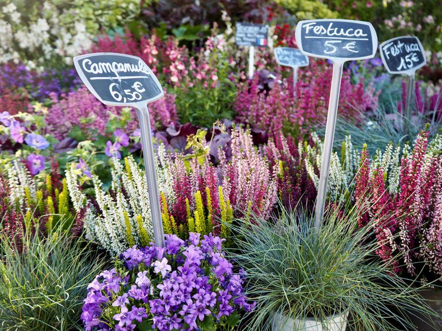 garden kneeler deals and price timing buying guide